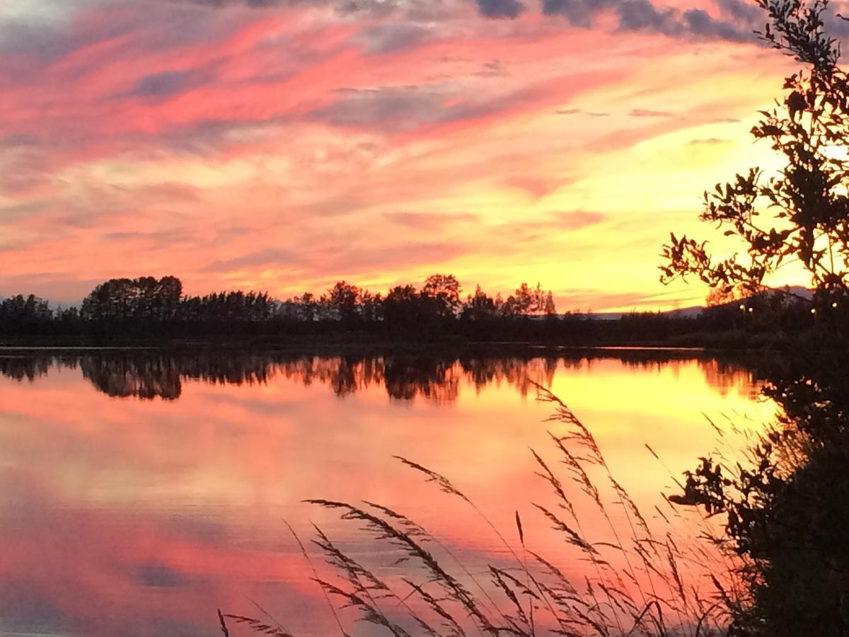 Reflection Lake Bed And Breakfast Anchorage Exterior foto