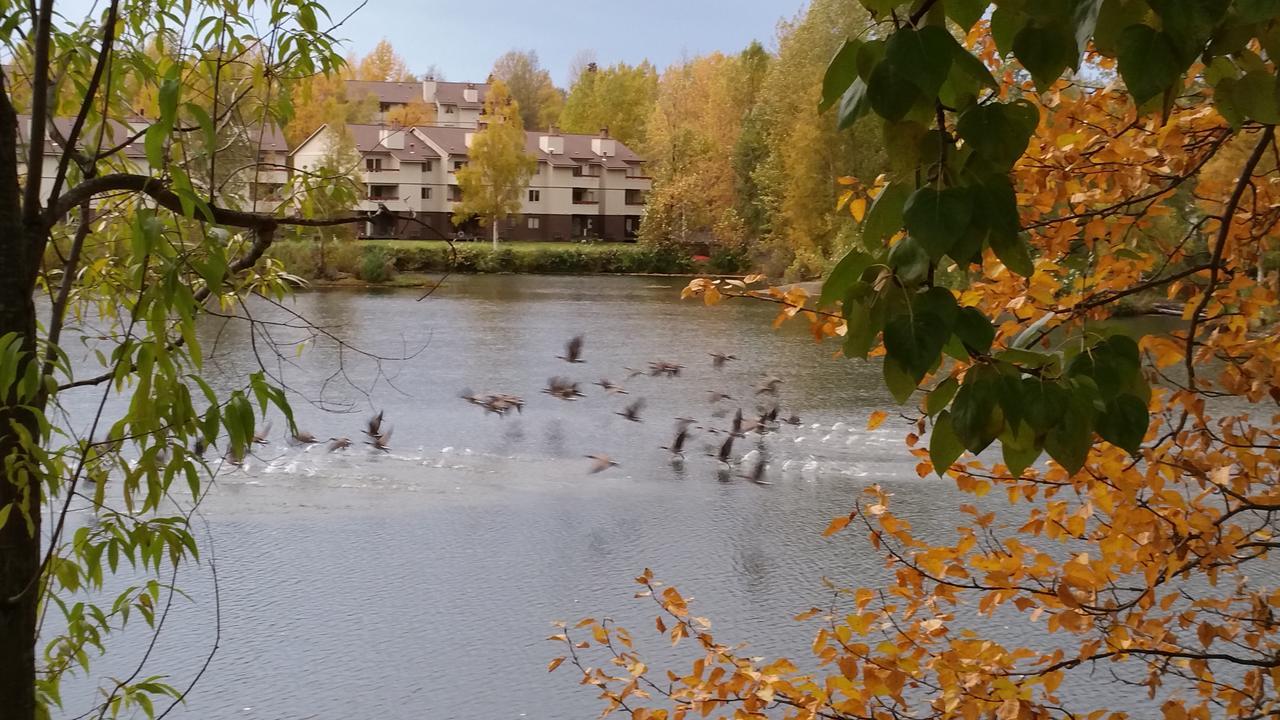 Reflection Lake Bed And Breakfast Anchorage Exterior foto