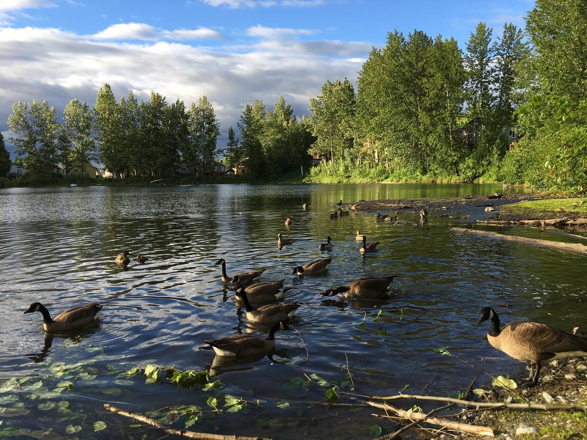 Reflection Lake Bed And Breakfast Anchorage Exterior foto